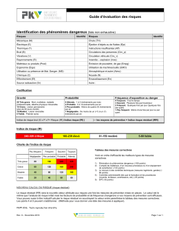 Guide d`identification des risques
