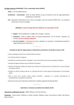 Attention: le sujet de stage doit &ecirc;tre valid&eacute; par le responsable de l`UE