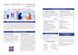 Plaquette de présentation du cursus Audit comptable et financier