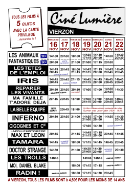 3 cinémas - Romorantin - Cinéma CINE LUMIERE VIERZON