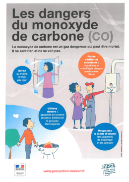 T&eacute;l&eacute;charger le fichier