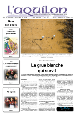 Journal Volume 31 Numéro 44