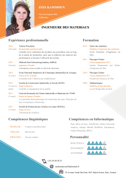 Exp&eacute;rience professionnelle Formation Comp&eacute;tences linguistiques