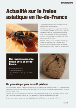 Voir le Fichier joint