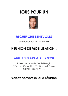 Affiche reunion mobilisation