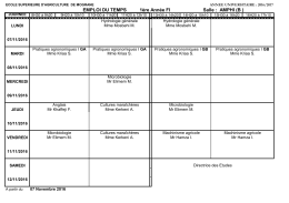 EMPLOI DU TEMPS 1ère Année FI Salle : AMPHI (B )