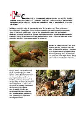 Conductrices et conducteurs, vous recherchez une activit&eacute; d`utilit&eacute;