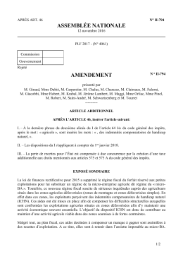 ASSEMBL&Eacute;E NATIONALE AMENDEMENT