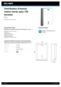 Distributeur d`essuie- mains mural, pour 750 formats