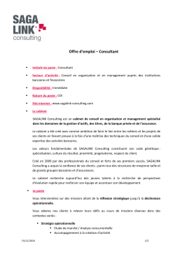 2016 11 SAGALINK Consulting_Offre Consultant