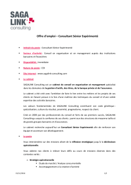 2016 11 - SAGALINK Consulting_Offre Consultant Senior Exp