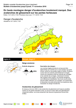 Produkt der Lawinenwarung