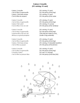 Il pleut, il mouille (It`s raining, it`s wet)