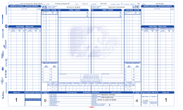 game sheet - Ligue Elite du Richelieu AA