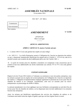 ASSEMBL&Eacute;E NATIONALE AMENDEMENT