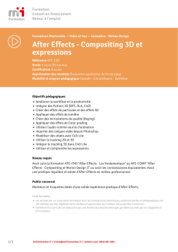 T&eacute;l&eacute;charger au format pdf