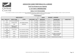 Field trial d`automne pour spaniels