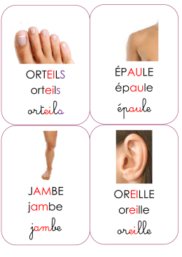 ORTEILS orteils orteils ÉPAULE épaule épaule JAMBE jambe