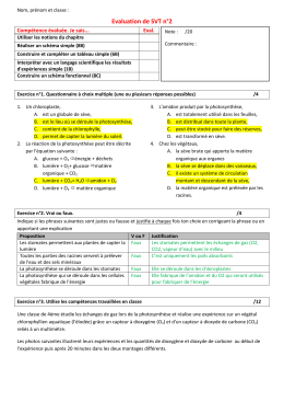 Correction de l`évaluation n°2