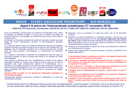 Appel à la grève de l`intersyndicale académique (17 novembre 2016)
