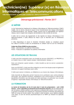 Sup&eacute;rieur(e) R&eacute;seaux Informatiques et T&eacute;l&eacute;communications