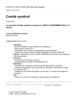 Comit&eacute; syndical