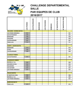 CHALLENGE DEPARTEMENTAL SALLE PAR EQUIPES DE CLUB