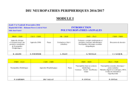 programme 2016/2017