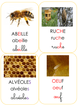 ABEILLE abeille abeille RUCHE ruche ruche ALVÉOLES alvéoles