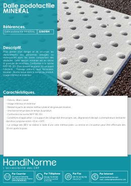 Dalle podotactile MINERAL
