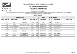 Field trial d`automne pour spaniels