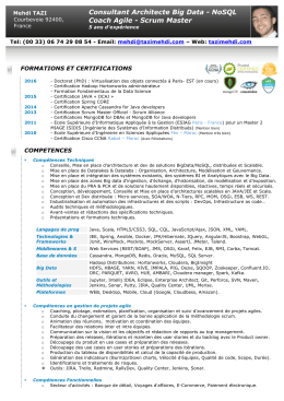 Consultant Architecte Big Data - NoSQL Coach Agile