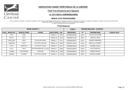 Field trial d`automne pour spaniels