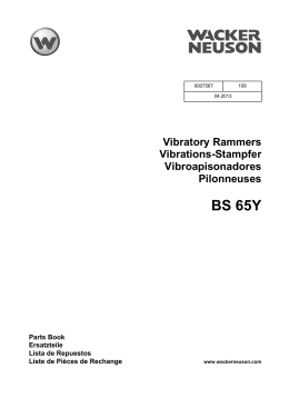 BS 65Y - Siva Baumaschinen