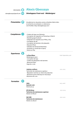 Voir CV - Alexis Gbessaya