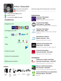 Télécharger mon CV