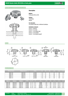 06200 Bouton &eacute;toile DIN 6336 en fonte grise