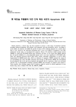 톳 메탄올 추출물에 의한 인체 폐암 세포의 Apoptosis 유발