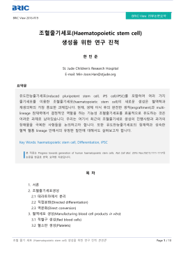 조혈줄기세포(Haematopoietic stem cell) 생성을 위한 연구 진척