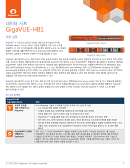 GigaVUE-HB1