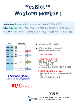 PowerPoint 프레젠테이션