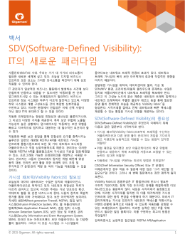 SDV(Software-Defined Visibility): IT의 새로운 패러다임