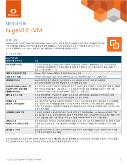 GigaVUE-VM