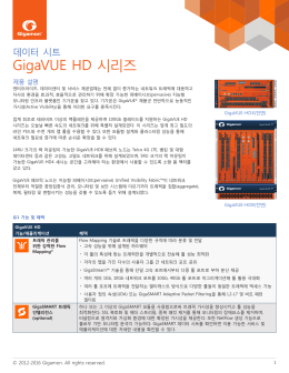 GigaVUE HD 시리즈