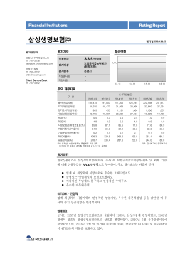 삼성생명보험 - 한국신용평가