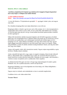 Besz&aacute;mol&oacute;t - Campinform