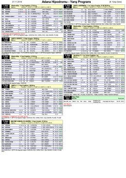 Özet PDF Programı