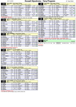 Özet PDF Programı