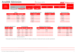 Analitik Görünüm