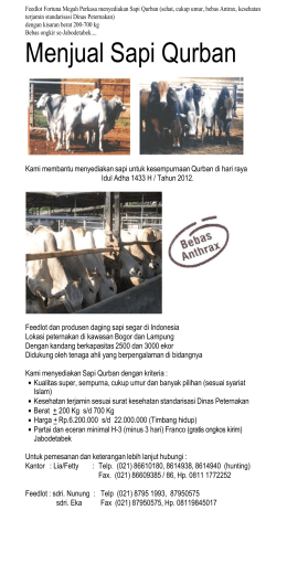 Menjual Sapi Qurban